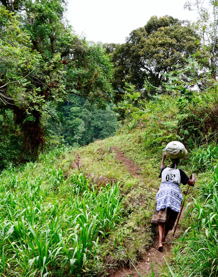 First few days in&nbsp;Moshi