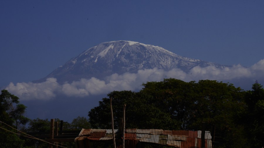 Moshi: The Highs and&nbsp;Lows