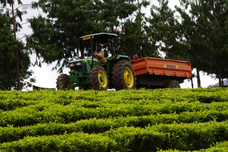 We owe Africa more than&nbsp;‘pity’